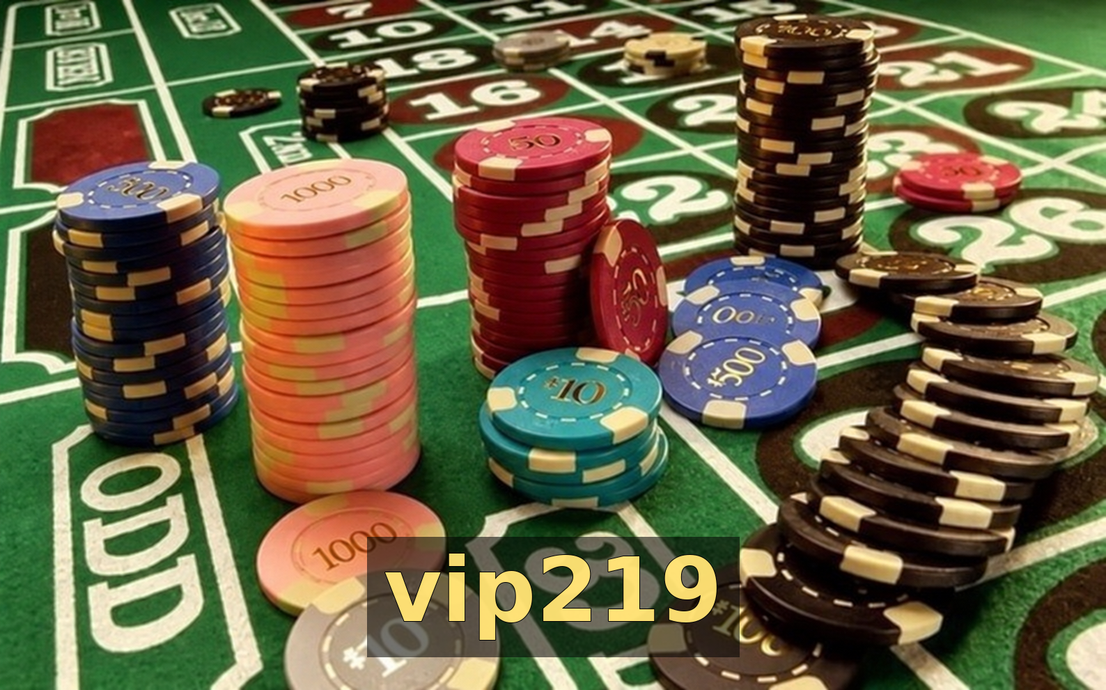 vip219 — destaque 2